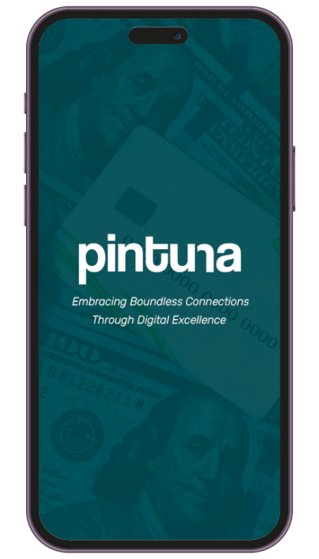 Pintuna Point of Sale Integrations